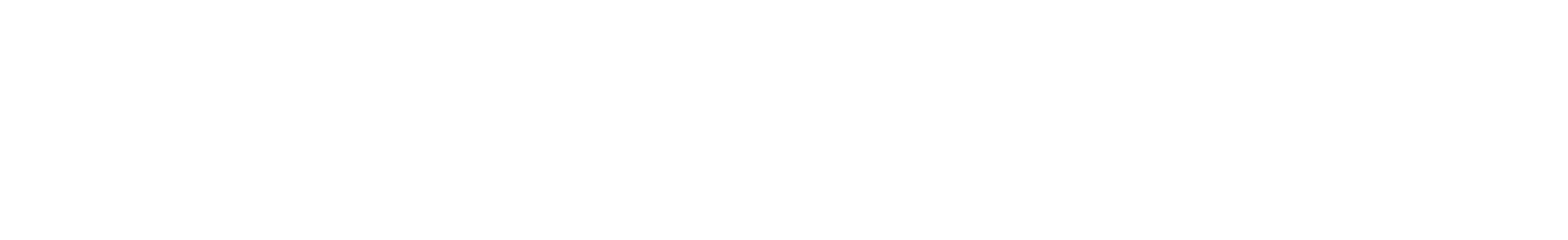 PMG Store